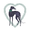 heart dog