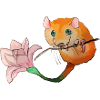 Florian the dormouse