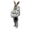 Hase Astronaut