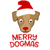 Christmas dog