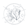 Ice Bear