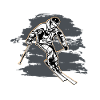 skier