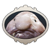 Laid blobfish, laid, Mr Blob