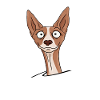 podenco