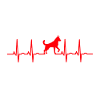 ekg dog