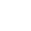The black sun