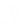 Skull Loco Skull
