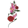Red roses with crystals