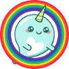 Rainbow Narwhal