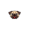 Pug Mama