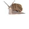 C'est un cadeau d'escargot