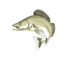 Qu'est-ce que le poisson?