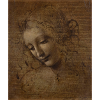 leonardo davinci