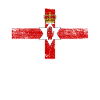 Northern Ireland flag