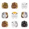 Nine guinea pigs faces