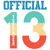 Official Teenager 13th Birthday Gift Vintage