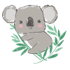 Słodki miś koala z gałęzi liści eukaliptusa