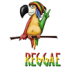 Rasta perroquet Rastafari réfrigéré net