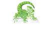 Dragon barbu mange reptiles devoirs.