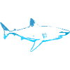 Requin Hai