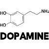 Dopamine Molecular Cooling