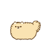 doux chat, chien