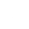 Quallen-Kunst-Illustrations-Medusen-Geschenk