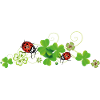 Trèfle, trèfle chanceux avec des coccinelles.