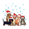 Christmas dogs puppy