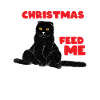 Funny cat Christmas