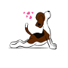 Yogii Dog