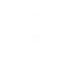 Denali National Park design