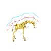 Giraffes graph