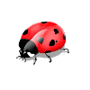Imprimé insecte