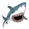 Tauch Dive Shark Hai