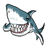 Tauch Dive Shark Hai