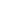 Arizona cactus