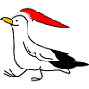 Christmas seagull