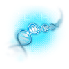 My DNA