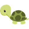tortue