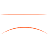 lynx