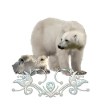 Stunning polar bear with puppy