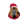 Capybara Moche Noël