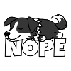 Border Collie Nope