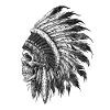 Native American Indian Skull