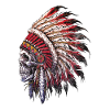 Indian skull