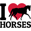 I love Horses
