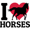 I love Horses