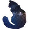 Catspace