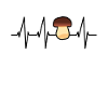 Pilze sammeln
